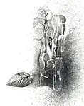 /images/grafik_076_00120.jpg