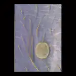 /images/grattulationskort_008_TTHIXHIG.jpg