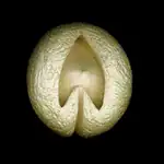 /images/keramik_013_00234.jpg
